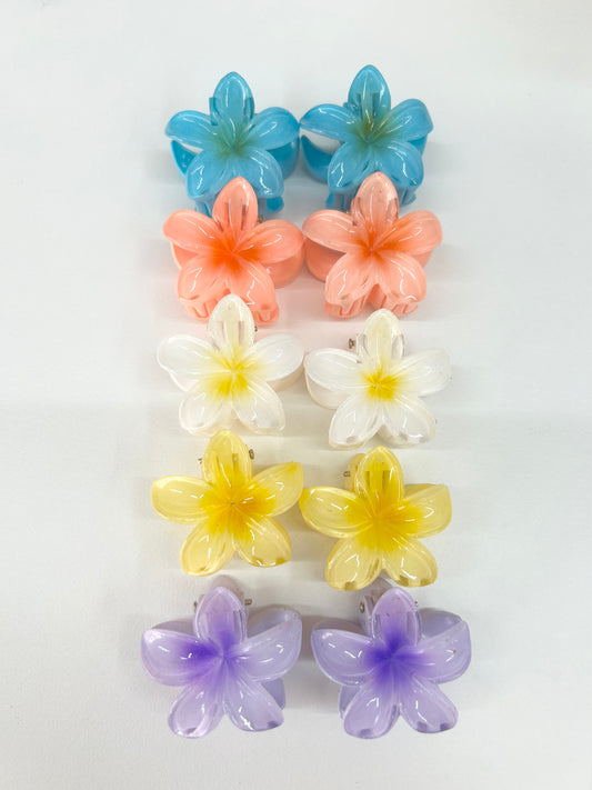 Pinza Hawaiana Pqueña (pack de 2)