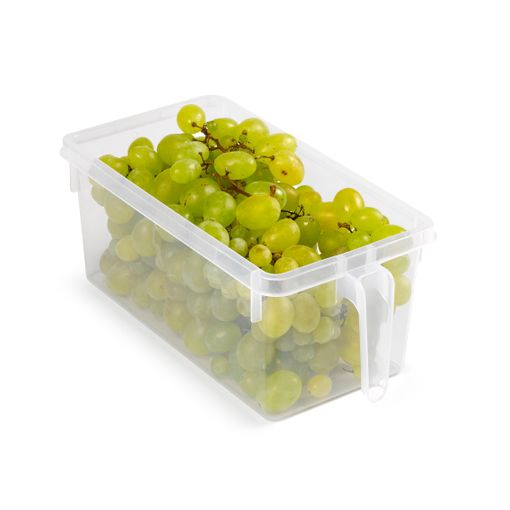 Organizador nevera con asa 15 x 29 x 12 cm